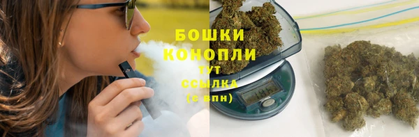 ГАЛЛЮЦИНОГЕННЫЕ ГРИБЫ Алзамай