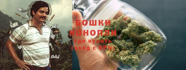 ГАЛЛЮЦИНОГЕННЫЕ ГРИБЫ Алзамай