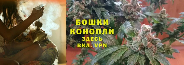 ГАЛЛЮЦИНОГЕННЫЕ ГРИБЫ Алзамай